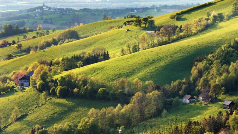 Panoramahöhenweg, © weinfranz.at