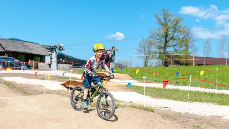 Bikepark Königsberg, © Wolfgang Wutzl