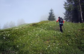 Opponitz Wandern, © Rudi Kefer