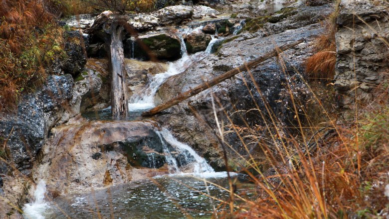 Wildnisgebiet Dürrenstein, © Mostviertel Tourismus/Weinfranz.at