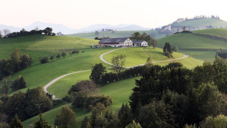 Ausblick Panoramahöhenweg, © weinfranz.at