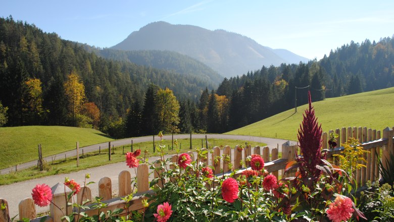 Aussicht am Hetzkogl, © Grasberger