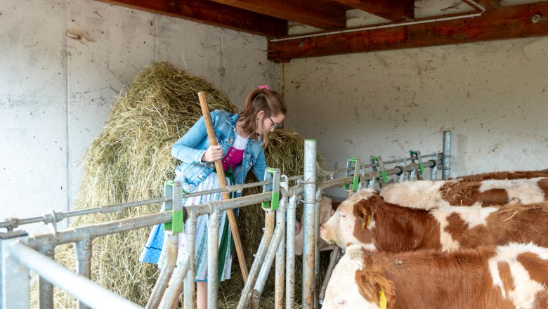 Magdalena im Stall bei den Kälbern, © Grasberger