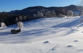 Ferienhaus Hinterbreiteneben Winteransicht, © zVg Johannes Hoyos