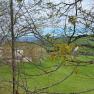 Ausblick St. Leonhard am Walde im Frühling, © Ybbstaler Alpen