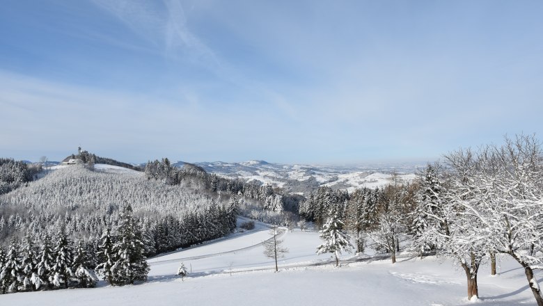 Das Sandlehen im Winter, © Michael Pichler