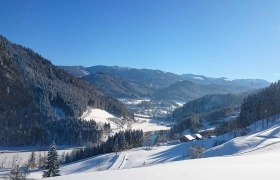 Ausblick vom Bauernhof Seppenbauer im Winter, © Seppenbauer